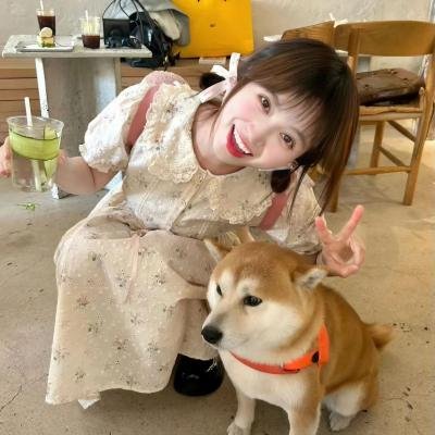 你是我的命中注定2020